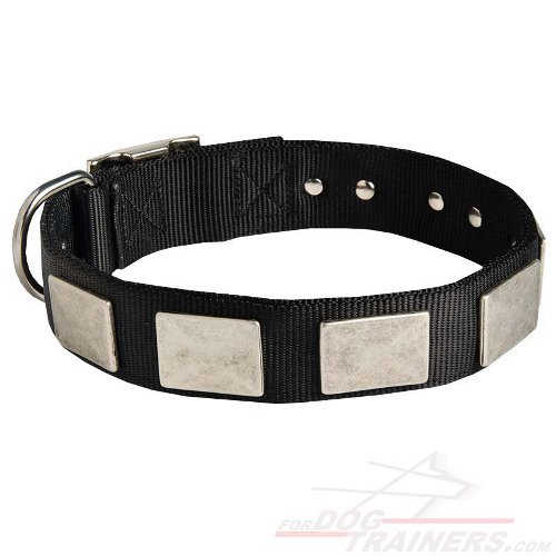 Black Nylon Dog Collar with Massive Plates