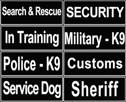 ID Patches for Black Nylon Dog Collar - Click Image to Close