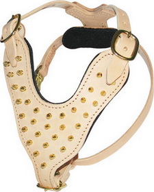 Brass Spiked Leather Dog Harness to Fit Pitbull and Similar Big Dog Breeds - Click Image to Close