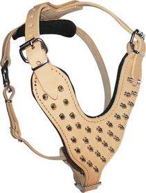 Fashion Spiked Leather Dog Collar for Comfortable Training and Walking