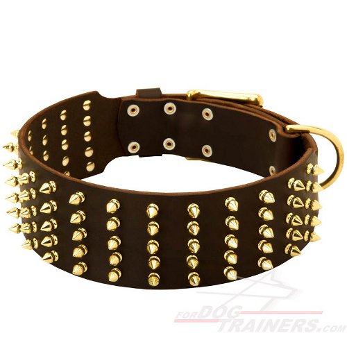 Fantastic Wide Leather Collar with Brass Spikes and Hardware - Click Image to Close