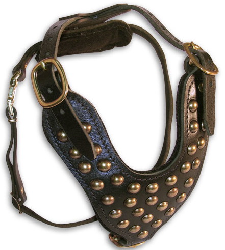 Luxury Studded Leather Dog Harness for Daily Wearing - Click Image to Close