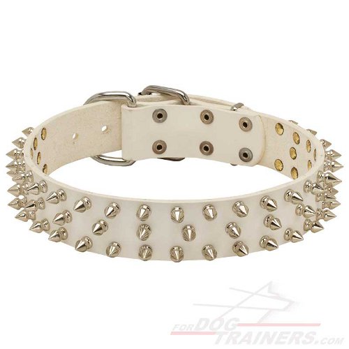 New Fashionable White Leather Dog Collar with Spikes - Click Image to Close