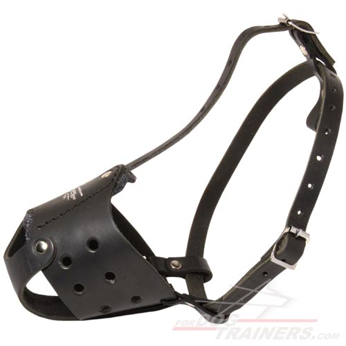 Comfortable Everyday Adjustable Leather Muzzle for Dog Training - Click Image to Close