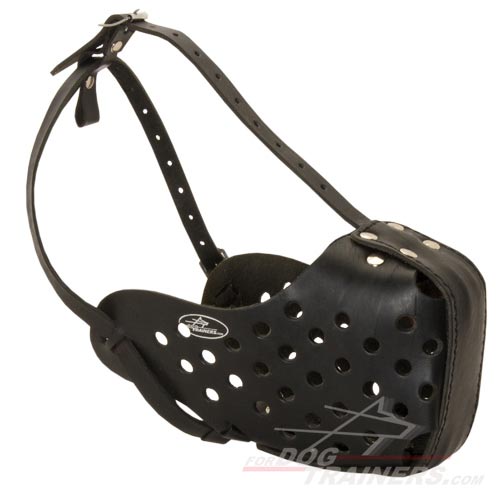 Training Leather Dog Muzzle for Medium and Big Dog Breeds