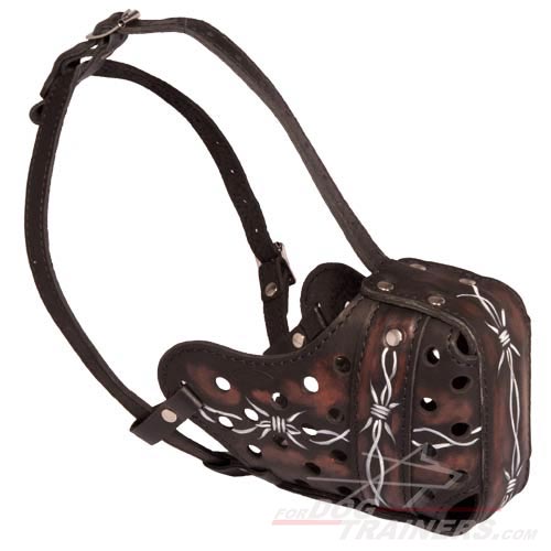 Unique Painted Leather Muzzle for Dog Training - Click Image to Close