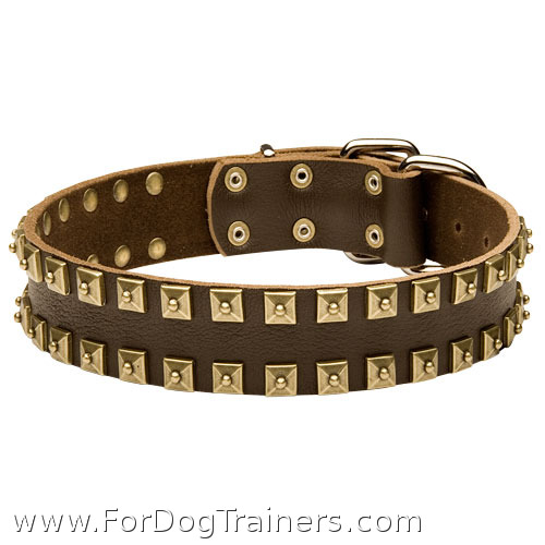 "Caterpillar" Designer Leather Dog Collar with Square Brass Studs - Click Image to Close