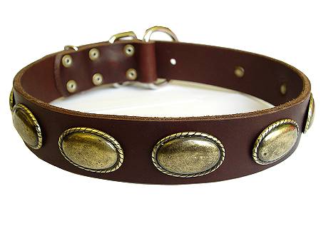 Vintage Dog Leather Collar for Everyday Comfortable Walking