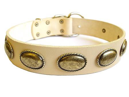 Exclusive Dog Leather Collar of Highest Quality - Click Image to Close