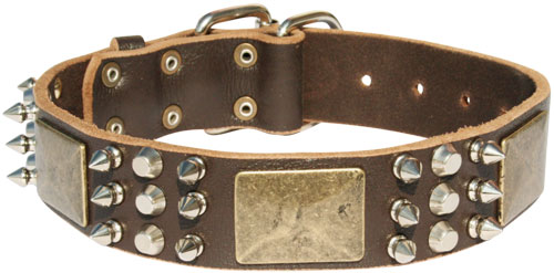 Excusive Spiked and Studded Leather Dog Collar with Massive Plates - Click Image to Close