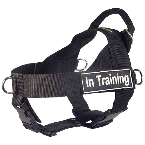 Better Control Everyday Waterproof Nylon Dog Harness