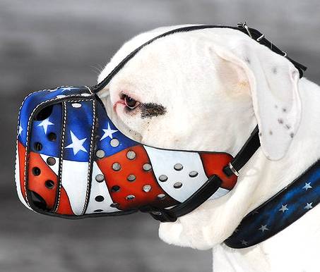 'American Flag' Painted Dog Muzzle to Prevent Biting - Click Image to Close