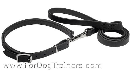 Police / Hunting Dog Leash and Collar Combo - Click Image to Close