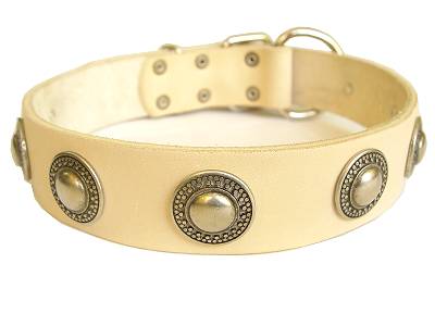 Exclusive White Leather Dog Collar with Silvery Circles - Click Image to Close