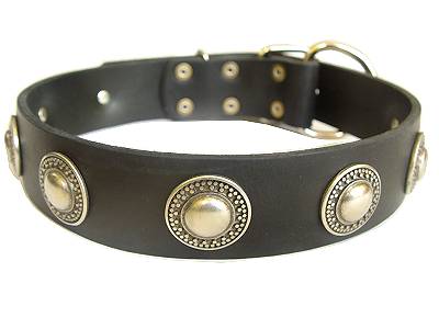 Handcrafted Leather Dog Collar with Silver Plated Brooches - Click Image to Close