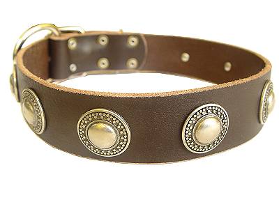 Deluxe Leather Dog Collar with Medieval Style Brooches - Click Image to Close