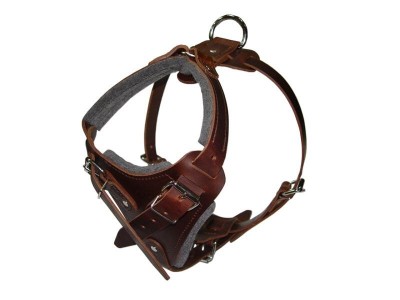 Padded Leather Dog Harness for Attack Training and Walking Large/Medium Breed Dogs