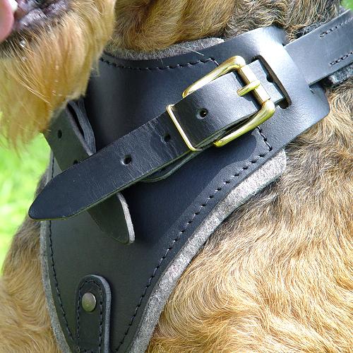 Agitation Leather Dog Harness Padded