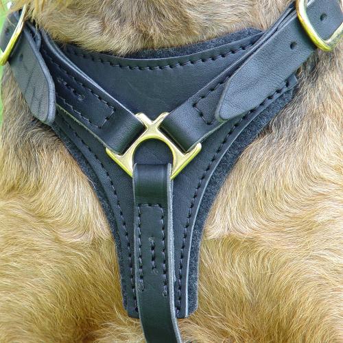 Easy Walk Padded Leather Dog Harness for Tracking, Walking and Training - Click Image to Close