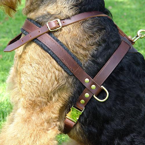 Comfortable Dog Training Harness for Pulling, Tracking and Walking