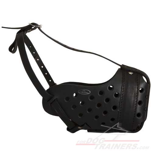 Durable Letaher Dog Muzzle with Anti-rubbing Nose Padding