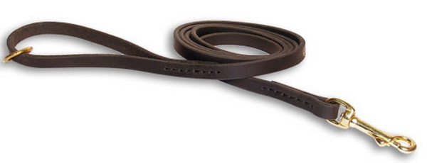 Handcrafted Leather Dog Leash with Floating Brass O-ring - Click Image to Close