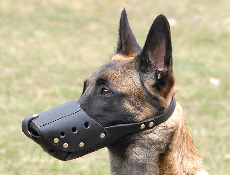 Free Breathing Leather Dog Muzzle for Everyday Activity - Click Image to Close