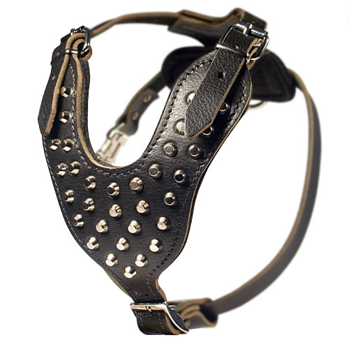 Pyramids Studded Leather Dog Harness - Click Image to Close