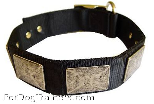 Decorated Black Nylon Dog Collar for Any Weather Use - Click Image to Close