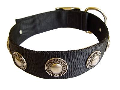 Fashion Nylon Dog Collar for Any Weather Walking - Click Image to Close