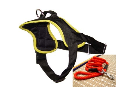 Nylon Dog Control Harness with Handle for Tracking, Pulling and Walking - Click Image to Close