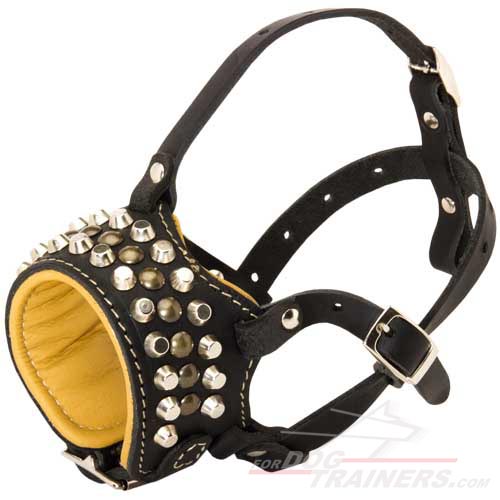 Royal Design Padded Leather Dog Muzzle with Handset Studs - Click Image to Close