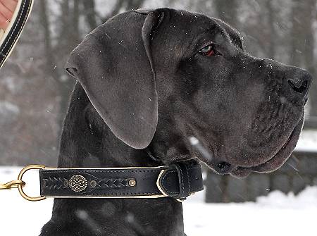 Royal Nappa Padded Handmade Leather Dog Collar - Click Image to Close