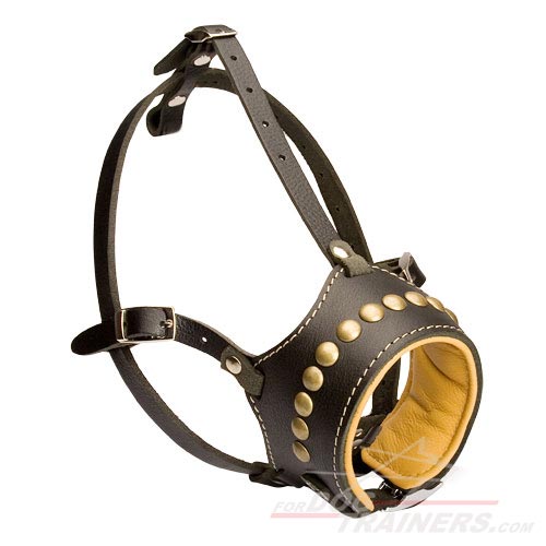 Nappa Padded Leather Dog Muzzle with Brass Studs for Daily Activity - Click Image to Close