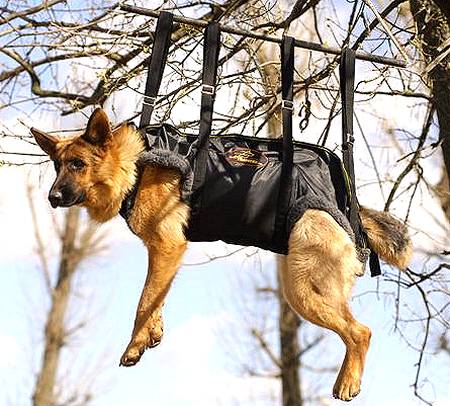 Tactical Insertion Rescue Nylon Dog Harness - Click Image to Close