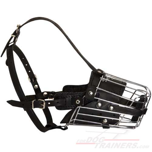 Metal Cage Dog Muzzle for Training and Walking - Click Image to Close