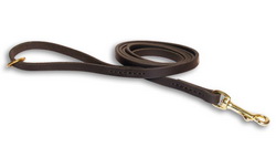 Handcrafted Leather Dog Leash with Floating Brass O-ring