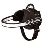 Nylon Dog Harness with Reflective Strap for Training, Walking, Police Service, SAR and More