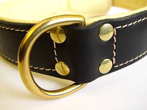 dog collar padded