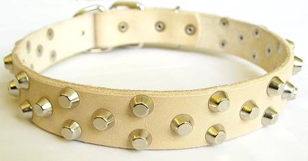 studded dog collar